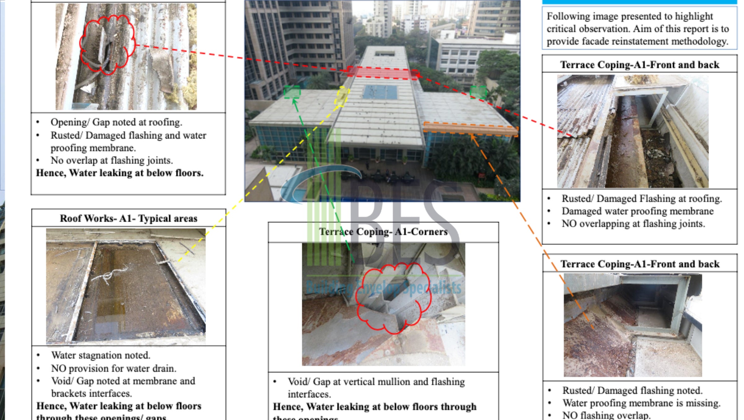 Building Inspection & Repairs